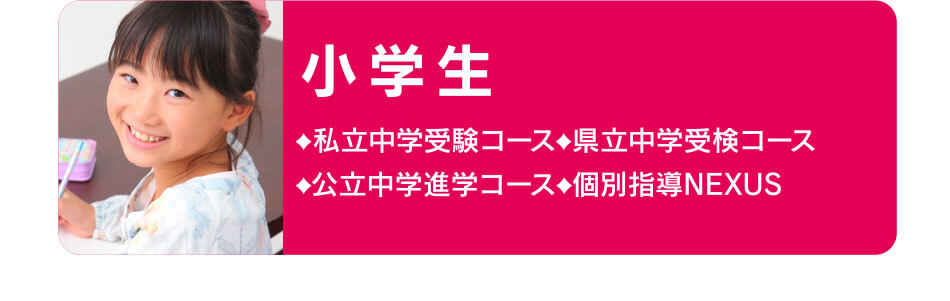小学生  私立中学受験コース 県立中学受検コース  公立中学進学コース 個別指導NEXUS