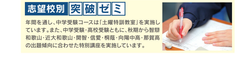志望校別突破ゼミ