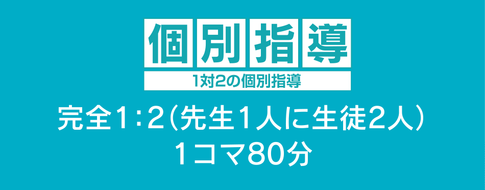 個別指導1対2の個別指導